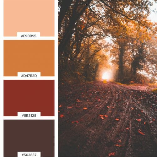 Brkich Design Group Color Palette for Logo / Graphic Design