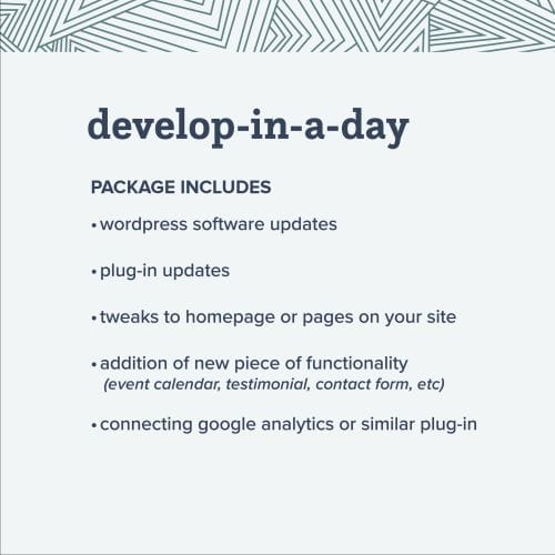 Develop-in-a-Day - Hire a Developer for the Day